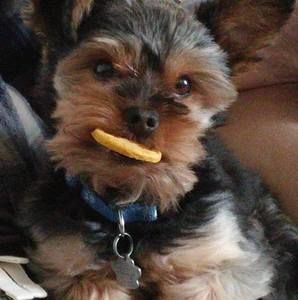 Meet your Posher, Wendy